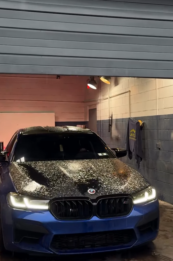 BMW M5 — Full Tint Package · ANIS TUNING